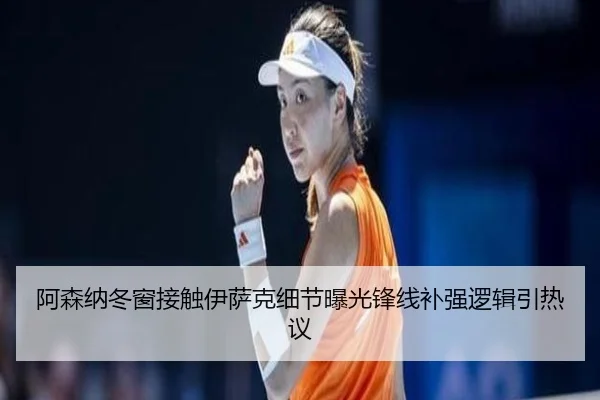 阿森纳冬窗接触伊萨克细节曝光锋线补强逻辑引热议